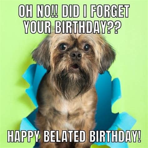 50+ Funny Happy Belated Birthday Memes for Everyone