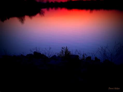 Quiet 的图像结果