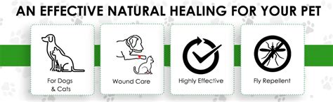 Medfly 2.0 Antimicrobial Skin Spray for Pets - Dogs & Cats - for ...