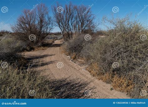 Mesilla Valley Bosque Park Walking Path, New Mexico Stock Photo - Image ...
