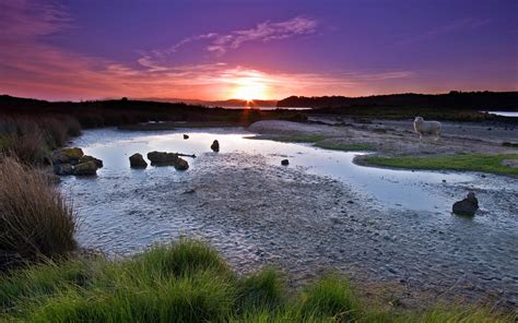 夕阳下的河边浅滩46045_山水风景_风景风光类_图库壁纸_68Design