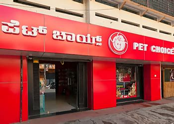 3 Best Pet Shops in Bangalore, KA - Expert Recommendations