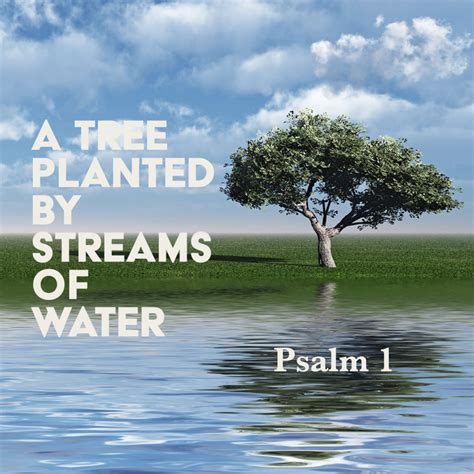 Psalm 1: A Tree Planted by Streams of Water – God Centered Life