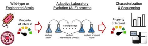 Image result for Evolution Examples