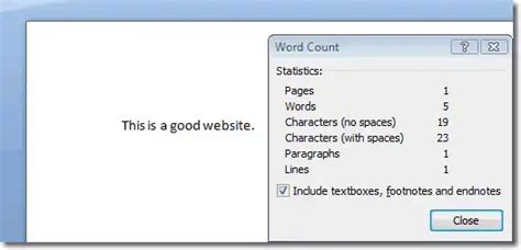 Image result for C Program to Count Characters Using String and Pointers