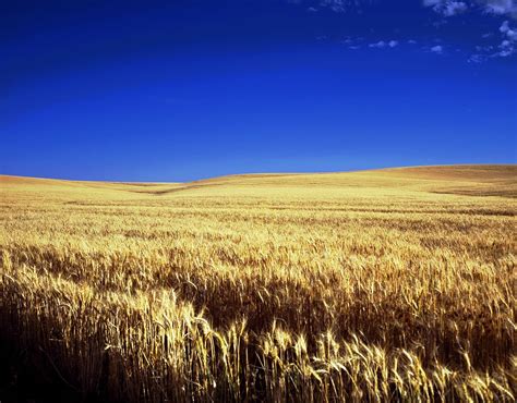 Important Regions Of Kansas - American Land Brokers