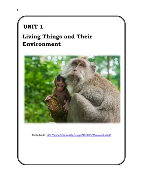 Module 2 Lesson 26 Grade 9 Program Jordan 的图像结果