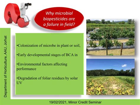 Seed Coating Formula 的图像结果