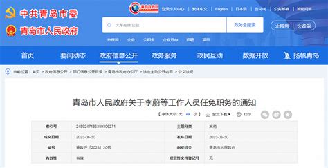 全国330城青岛排第一，“青岛政务网”再获政府网站第一名|界面新闻