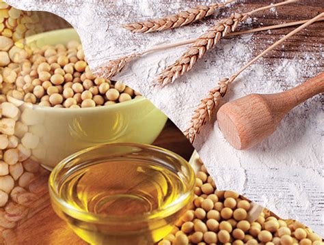 Kalyani’s & Mundra International