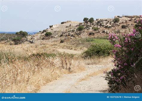Greek rural landscape stock photo. Image of mediterranean - 153722678
