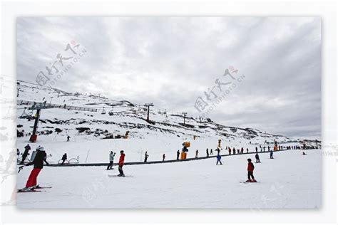 新西兰滑雪 的图像结果