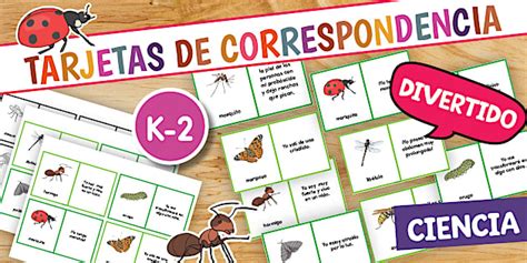 Insects in Spanish | ¿Qué Insecto Soy? | Twinkl USA