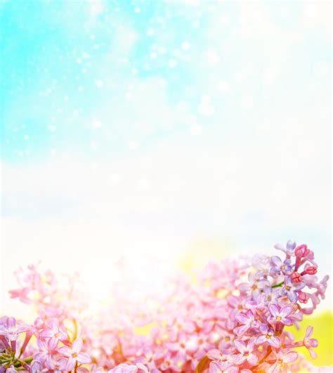 Colorful Spring Desktop Wallpaper 的图像结果