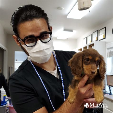 MEDVET SILICON VALLEY - San Jose CA - Hours, Directions, Reviews - Loc8NearMe