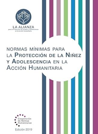Buy Normas Mínimas Para la Protección de la Niñez y Adolescencia en la ...