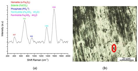 Influence of the Morphology of Eutectoid Steels on Corrosion Resistance ...