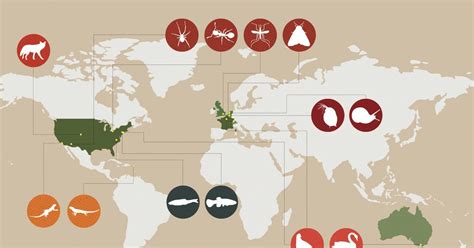 Map Evolution 的图像结果