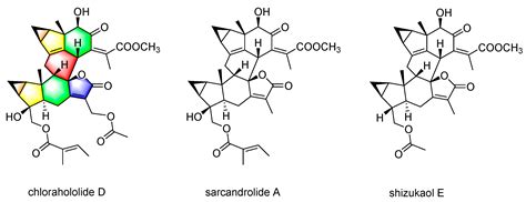 Chlorahololide D, a Lindenane-Type Sesquiterpenoid Dimer from ...