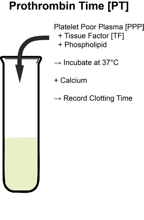 In The Chart Below Record Information From The Blood Tests