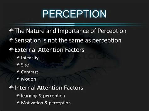 3 Elements of Perception 的图像结果
