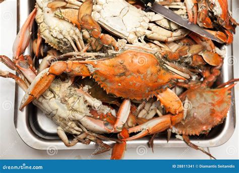 Cooked blue crabs stock image. Image of healthy, maryland - 28811341