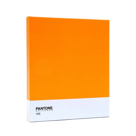 Pantone Pms 165 Pantone Color Pantone Orange Pantone Pantone Color ...