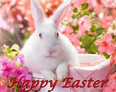 Image result for Desktop Wallpaper Spring Bunnies