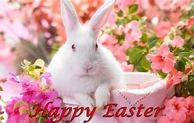 Image result for Easter Bunny Desktop