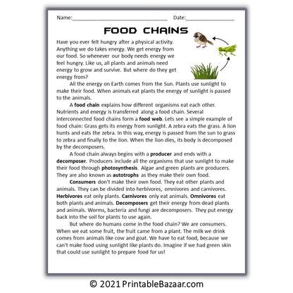 Food Chains Reading Comprehension Passage and Questions – PrintableBazaar