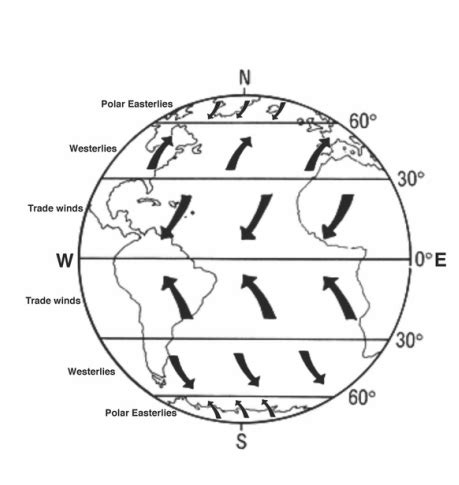 Types Tradewinds 的图像结果