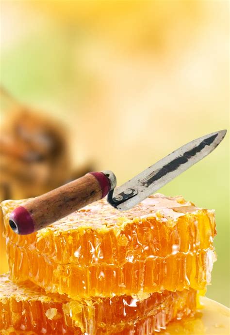 Buy Honey Uncapping Knife - Effortless Honey Harvesting | Kera Herb