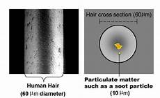 Hair Diameter by Nasa Top Story Nasa Finds Soot Has Impact On Global Hair Diameter