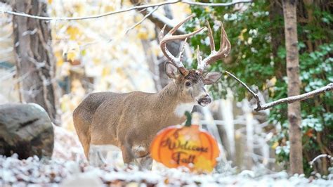 Snow emergencies issued for several central Ohio counties