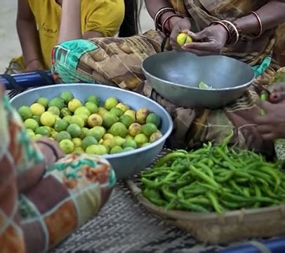 Pickles - Cravings and crunch unites the world
