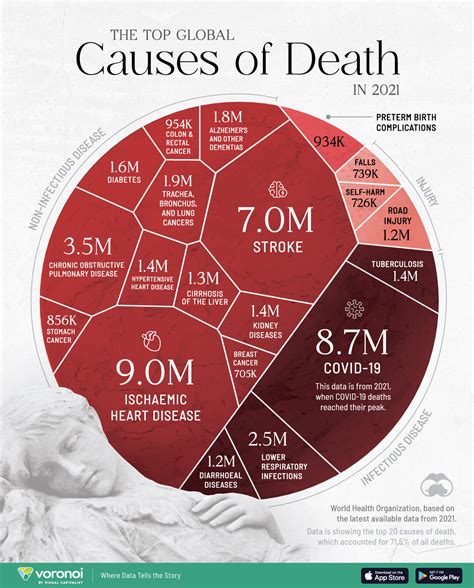 Exploring the Leading Causes of Death in 2021: A Global Perspective ...