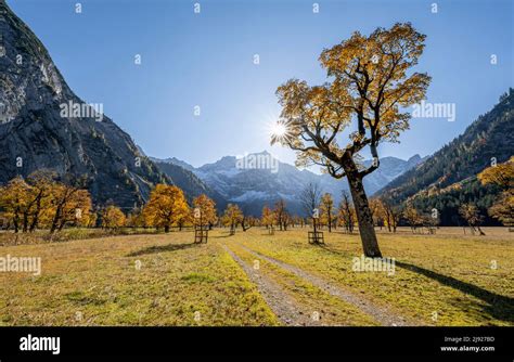 Image result for Enable JavaScript Windows 11