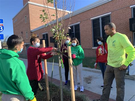 National Academy Foundation School Student Planting » Baltimore Tree Trust