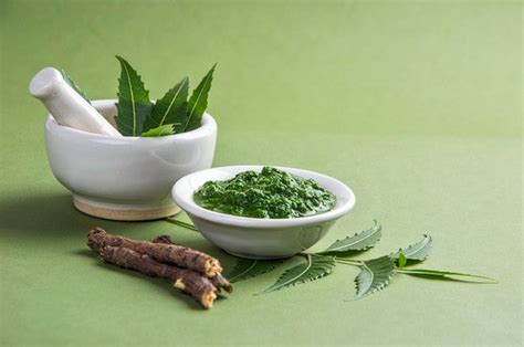 Check your Ayurvedic Knowledge Debunking 5 Common Myths - Auric
