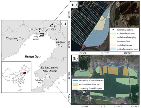 Construction and Application of Marine Ecological Restoration Project ...