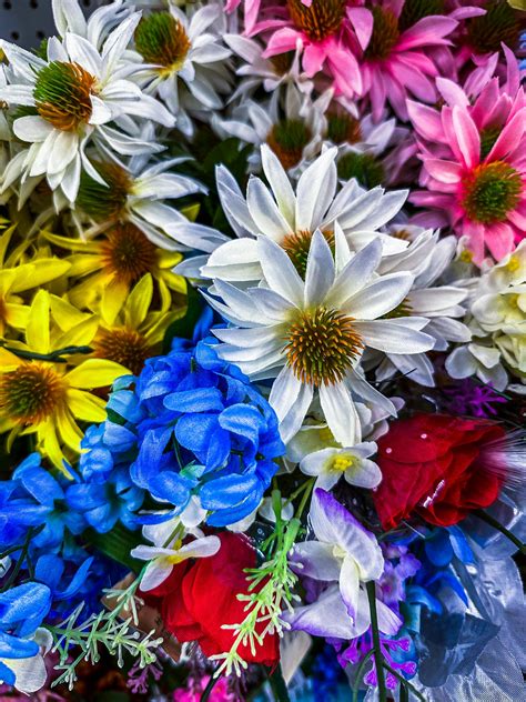 A Bunch of Colorful Angel's Breath Flowers · Free Stock Photo