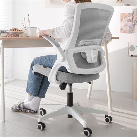 Neo Chair Ergonomic Mesh Office Chair with Weight Capacity, Adjustable ...