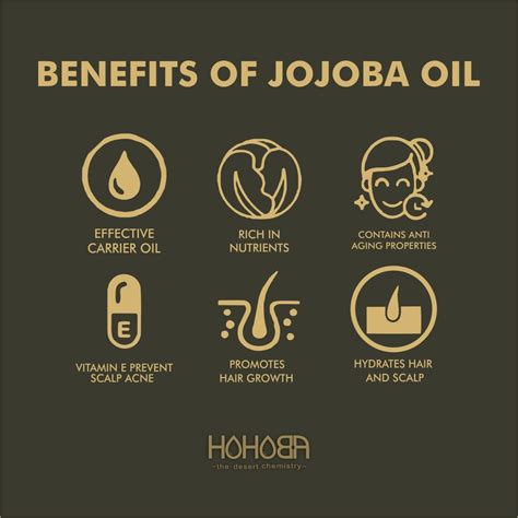 13 reasons why you should be using jojoba oil every day – Artofit