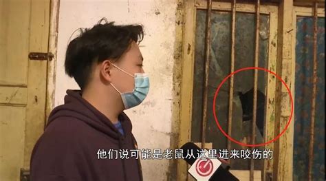 上海璞丽酒店就老鼠事件致歉顾客，消杀公司：老鼠为外部侵入_凤凰网视频_凤凰网
