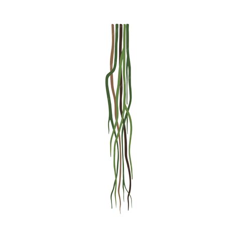 Premium Vector | Green tropical liana stems vines jungle plant ...