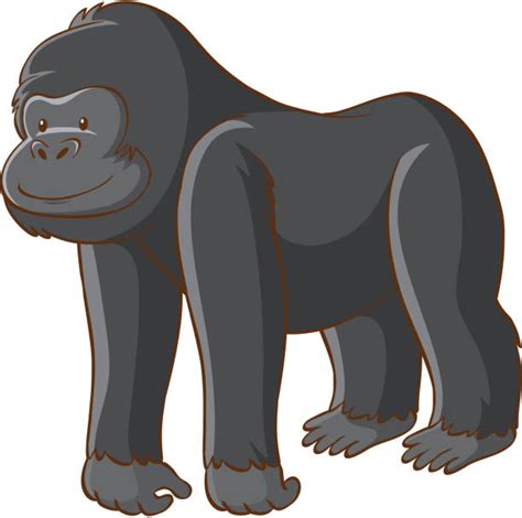 Gorilla Clip Art Illustrations, Royalty-Free Vector Graphics & Clip Art ...