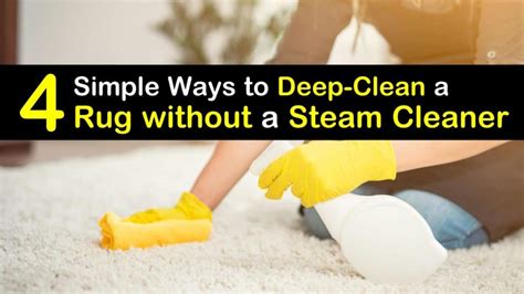 Image result for How to Deep Clean Small Rug without Washing Machine