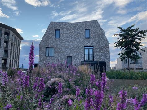 Nature Building 的图像结果