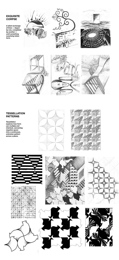 Coexistence of Wilderness and Grace | CEPT - Portfolio