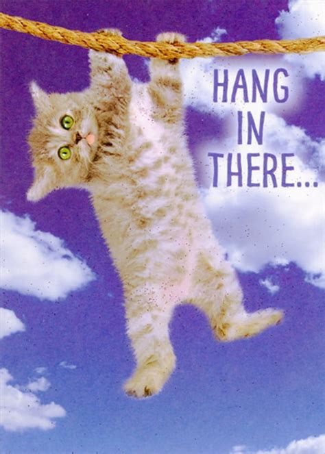 Hang In There Cat Gif
